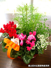20131220寄せ植え.jpg