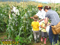 2013もろこしフェア10.jpg