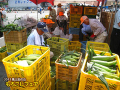 2013もろこしフェア7.jpg