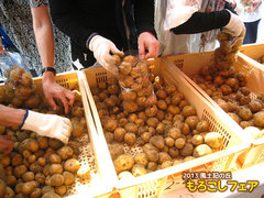 2013もろこしフェア9.jpg