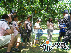2013フルーツ祭り5.jpg