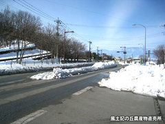 20140219shojiko2.jpg