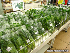20140305koma.jpg