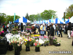 20140420ryokka2.jpg