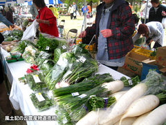 20140420ryokka3.jpg