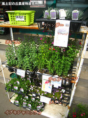 20140509harb.jpg
