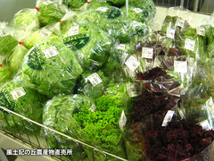 20140509lett.jpg