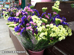 20140521sta.jpg