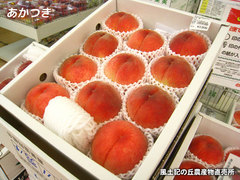 20140721akatsuki.jpg