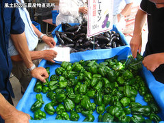 20140721tumeho.jpg