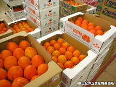 20141029hyakume.jpg