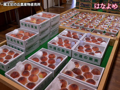20150618hanayome.jpg