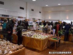 20151129003.jpg