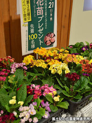 20160321putiive.jpg