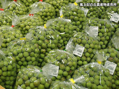 20160516ume.jpg
