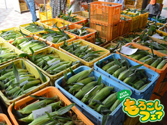 20160612fair001.jpg