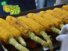 20160612fair004.jpg