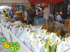 20160612fair007.jpg
