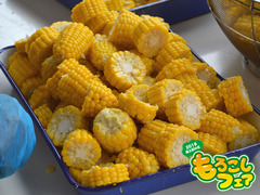 20160612fair008.jpg
