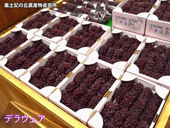 20160704dera.jpg