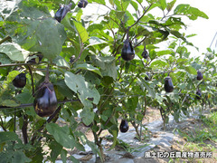 20160730nasu.jpg