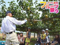 20160811fruitsfair004.jpg