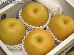 20160825hosui.jpg
