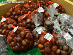 20160825kuri.jpg