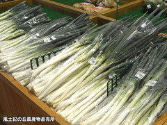 20160825negi.jpg