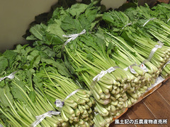 20161105nozawana.jpg