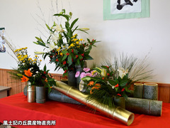 20170104shogatsu.jpg
