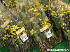20170215kou.jpg