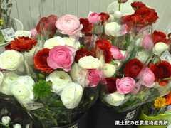 20170224.jpg