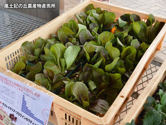 20170313radi.jpg