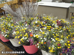 20170317higan.jpg