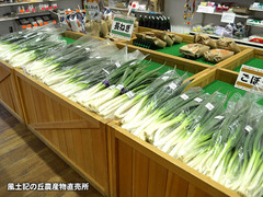 20170330negi.jpg