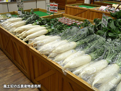 20170409daikon.jpg