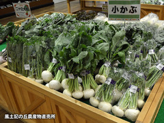 20170409kokabu.jpg