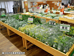 20170409yasai.jpg