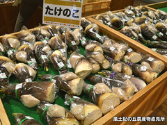 20170428take.jpg