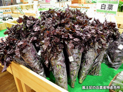 20170610akajiso.jpg