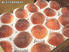 20170623frcn.jpg