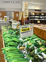 20170629kofunoakashi.jpg