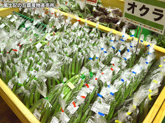 20170712okra.jpg