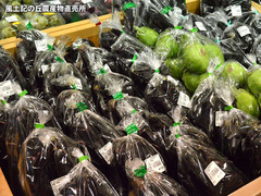 20170720nasu.jpg