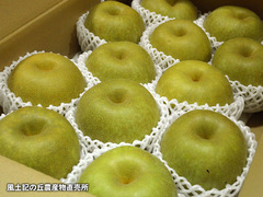 20170807nashi5.jpg