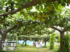 20170811fruits004.jpg
