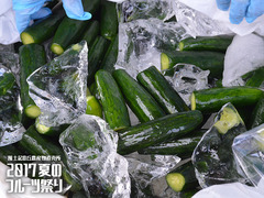 20170811fruits005.jpg