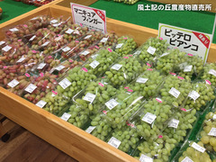 20170914budo.jpg
