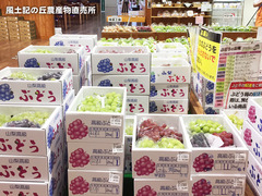 20170914hako.jpg